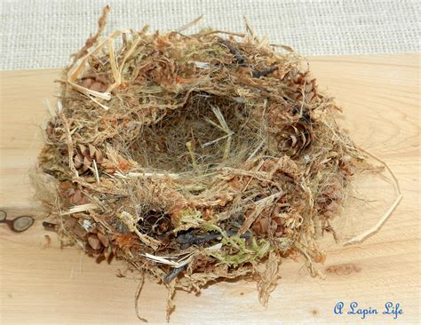 Feathered nest - Bio for The Feathered Nest Interior Design website, design ideas and blog